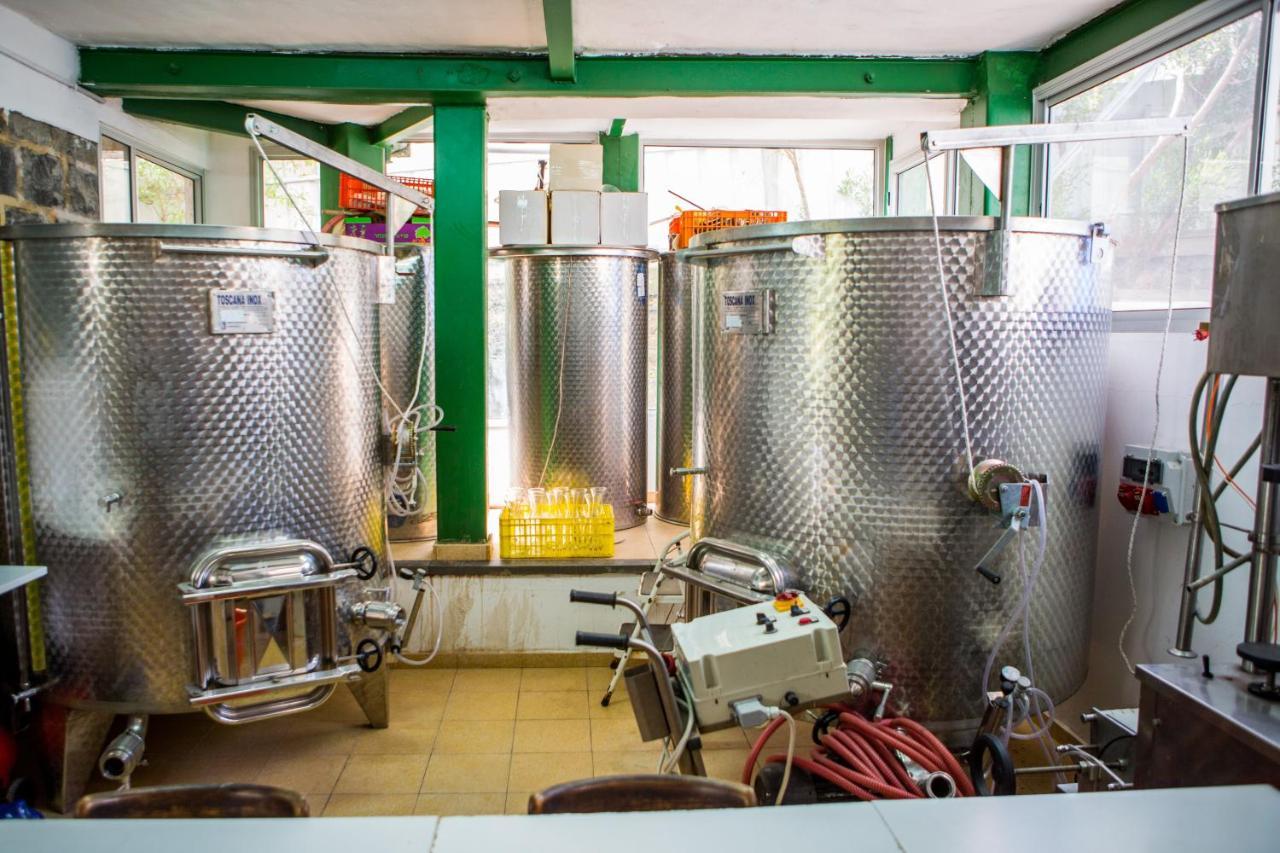 Berenice Winery Hotel Тверия Экстерьер фото